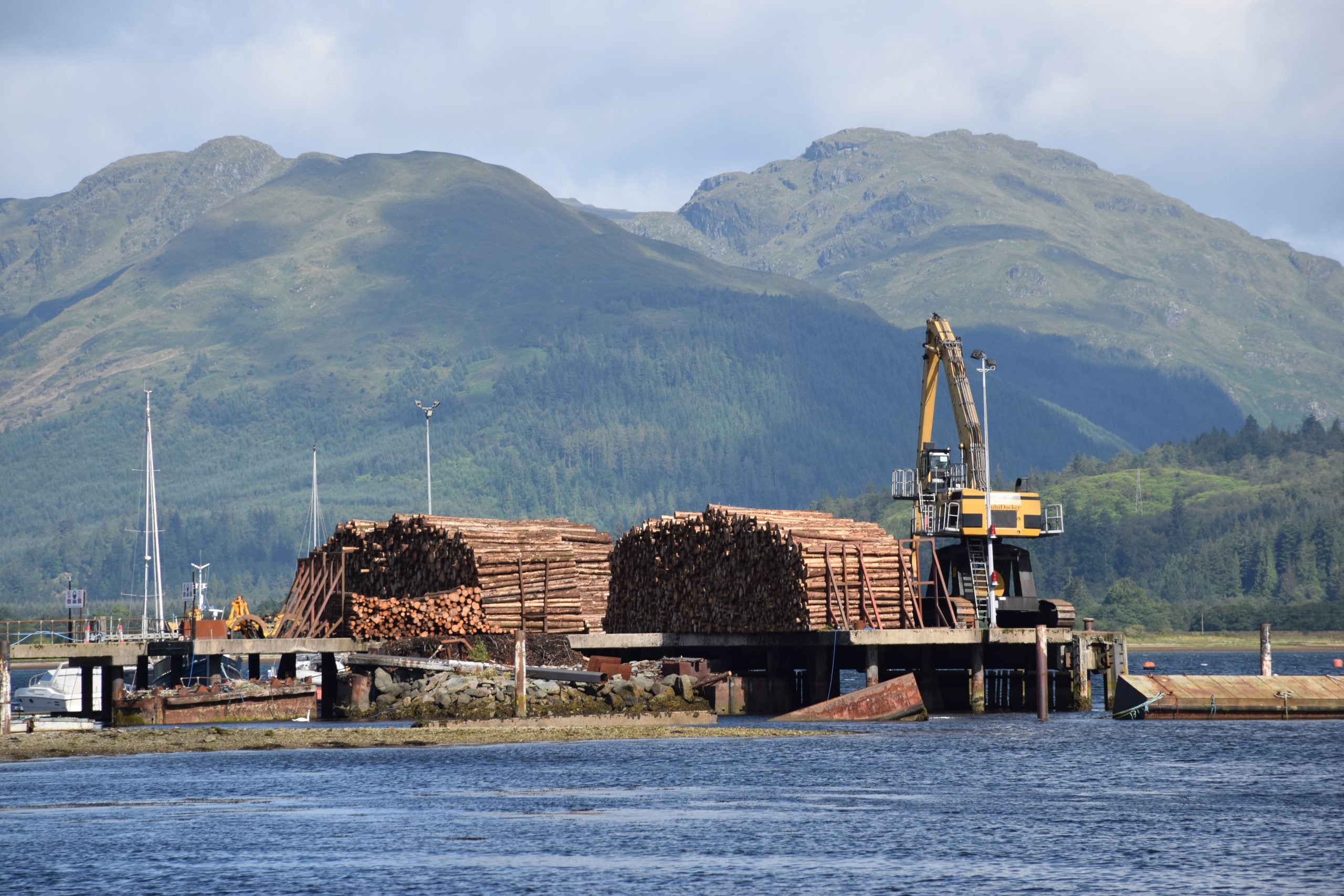 UK Softwood Market slows and log prices decline