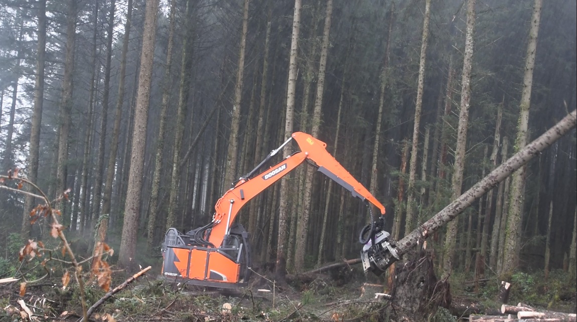 DoosanLogset Excavator Harvester Conversions