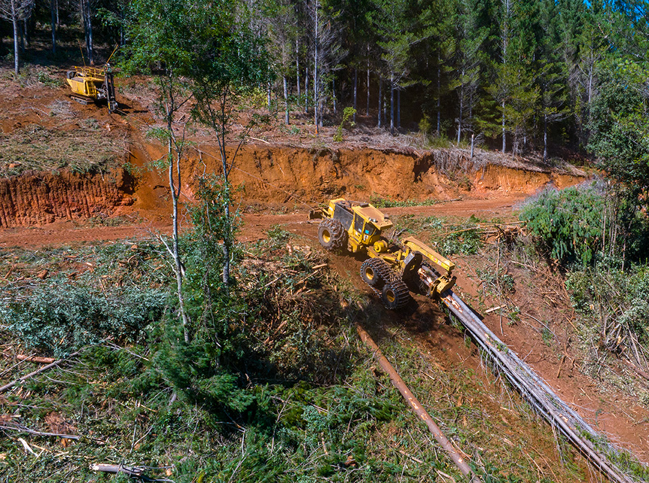 120-DJI_20250319112938_0254-940px Winch Assisted Logging