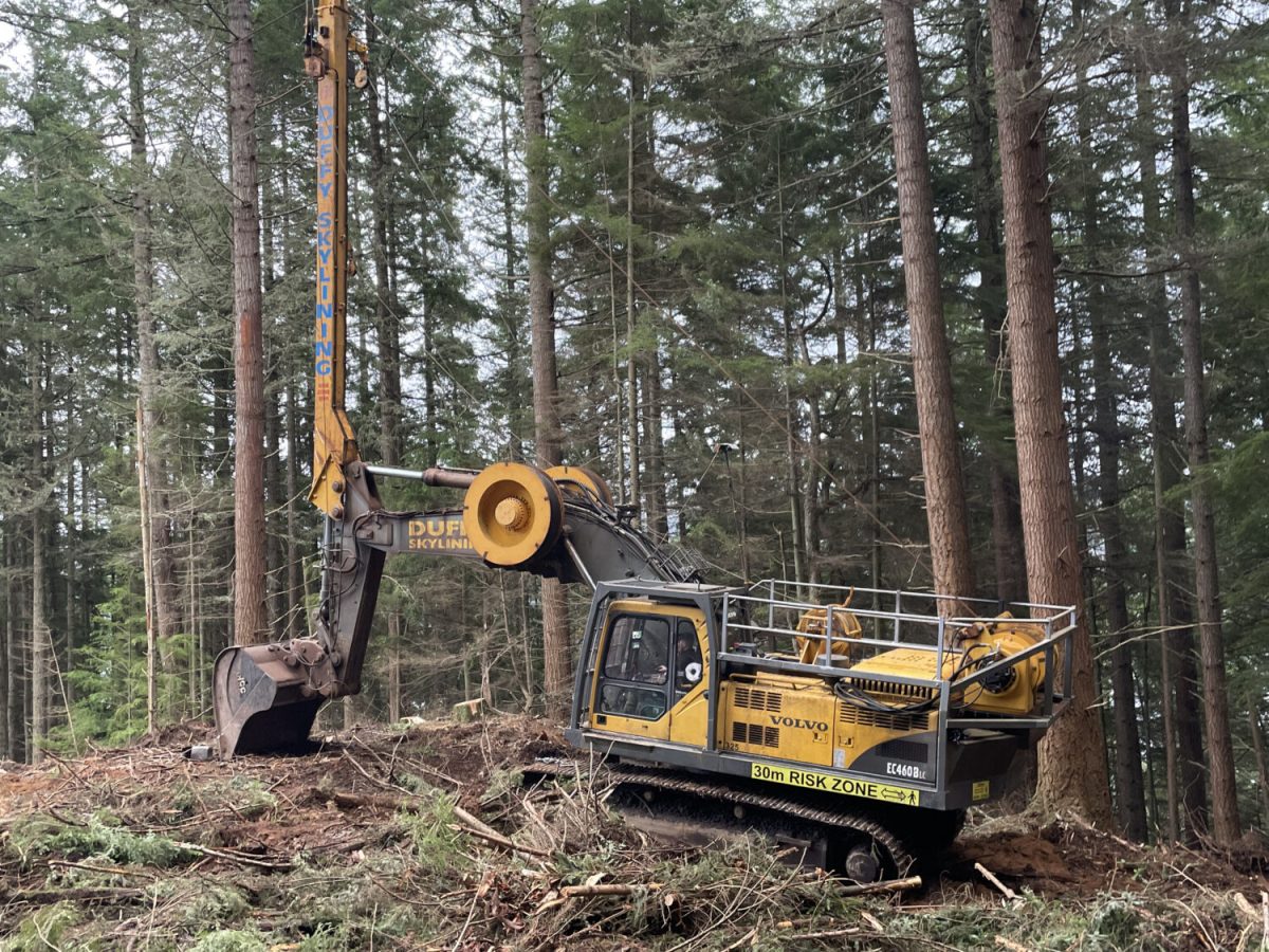 AFUL9410-1500x1125 Duffy Skylining