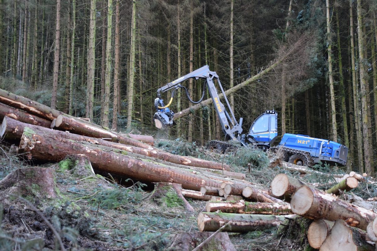 UK Forestry