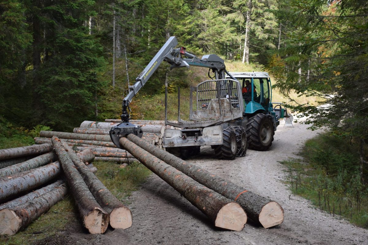 EU Deforestation Regulation
