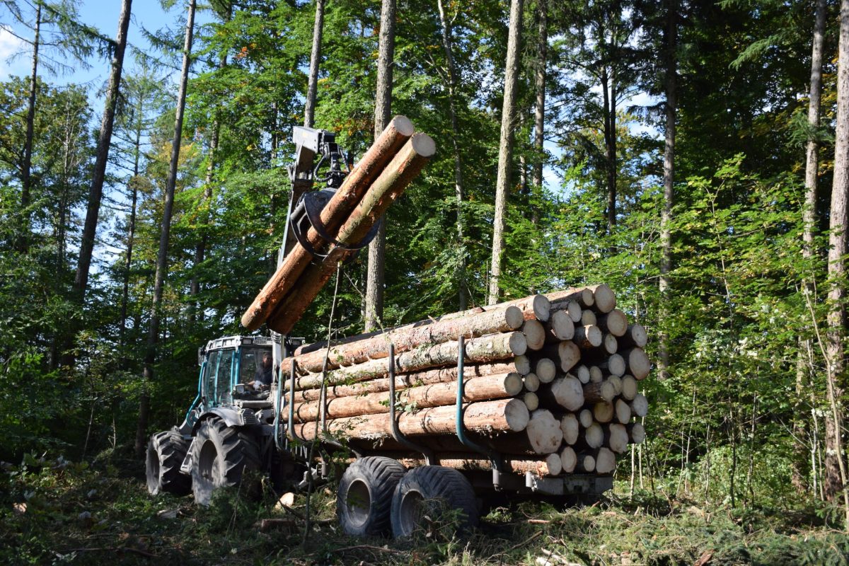 4134720 German Timber Shortage