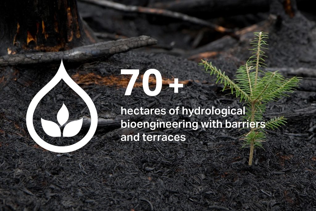 Smart technology helping protect forests from wildfire
