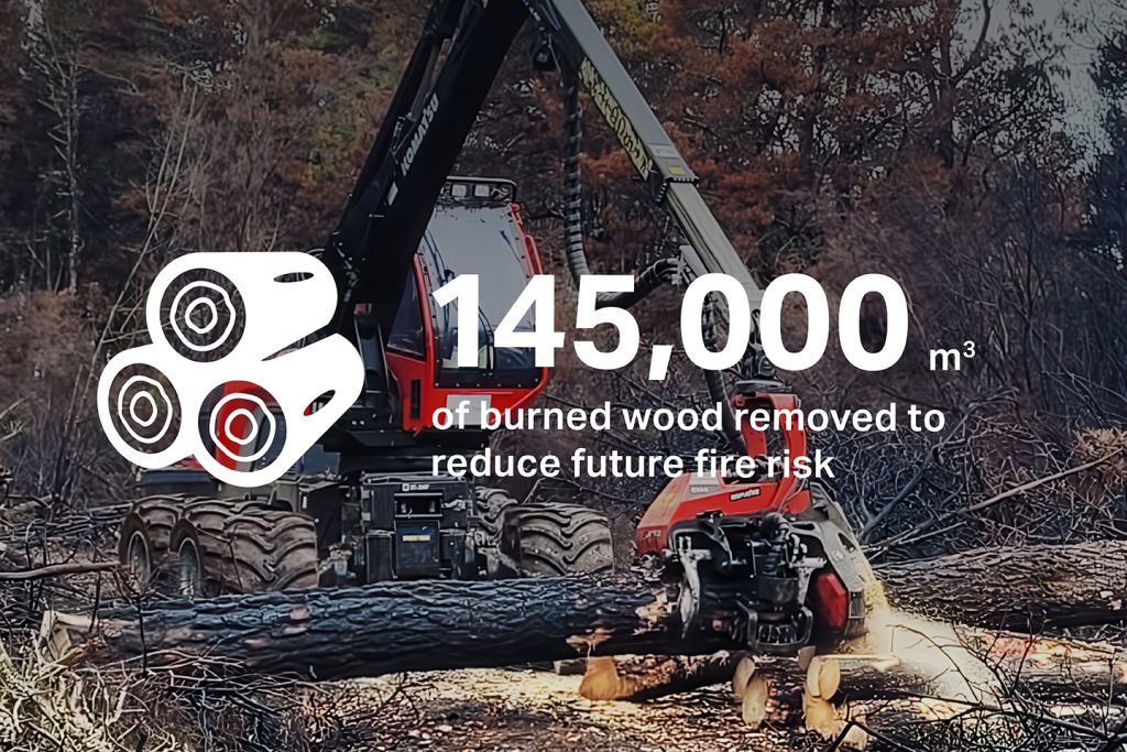 Smart technology helping protect forests from wildfire