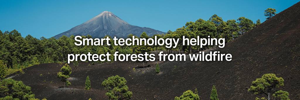 Smart technology helping protect forests from wildfire