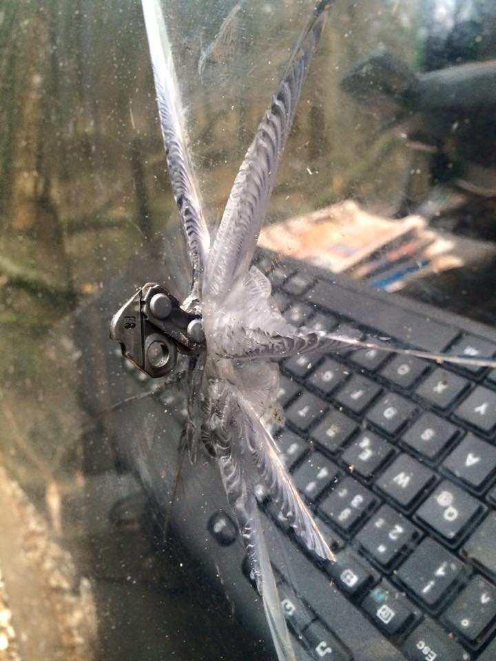 11218916_886478408108255_6749731153890782363_n Chain shot