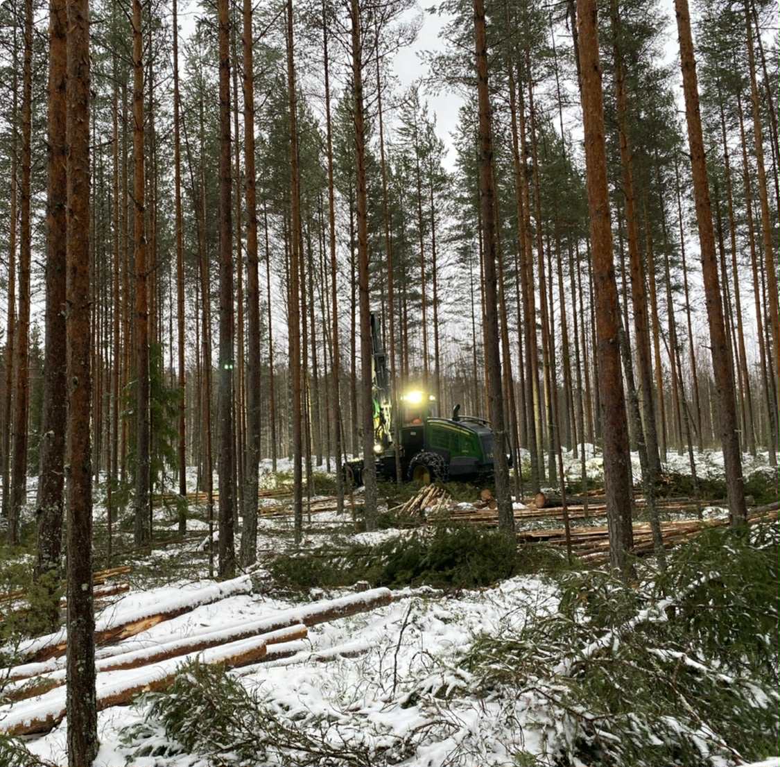 Finland's Timber Trade