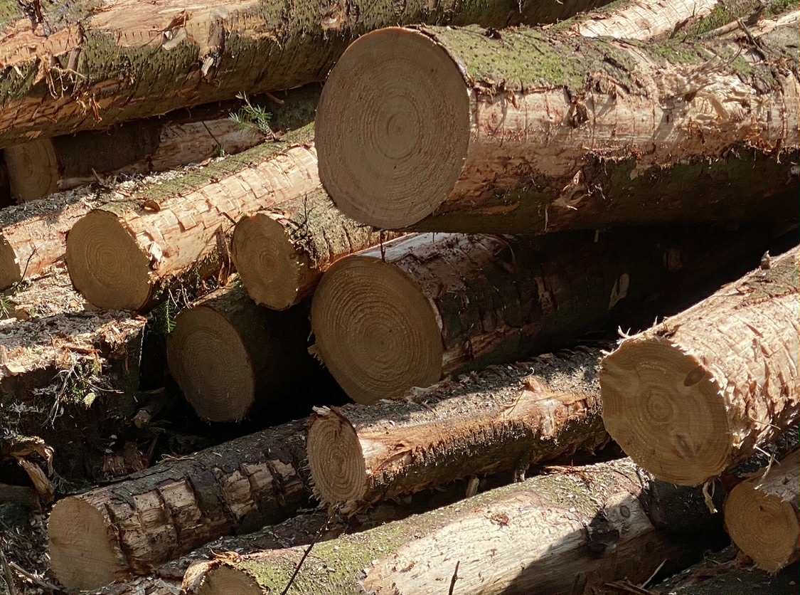 National Timber Group