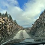 Billions in fraud threatens collapse of FSC