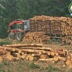 Slow UK Softwood Market
