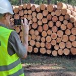 Timbeter Measures Up