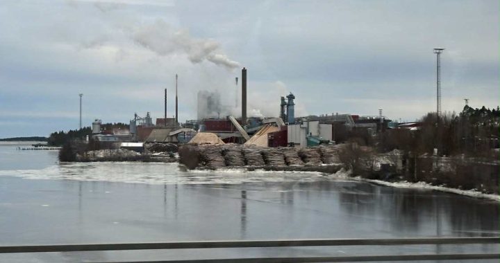 Sweden's forestry