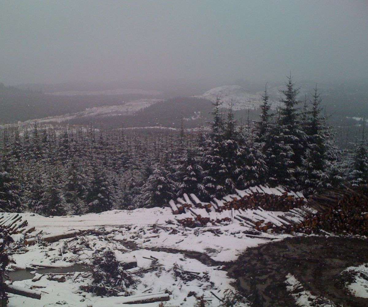 IMG_0072 UK Market Report