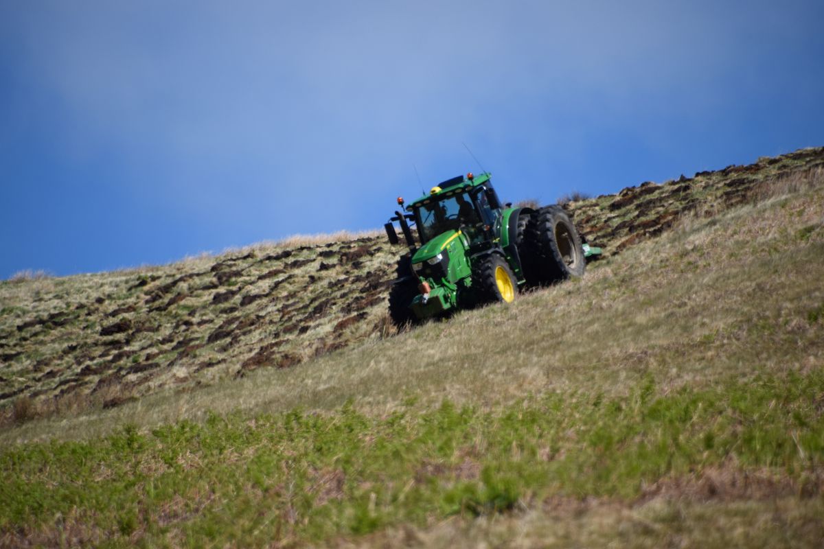 UK Woodland Creation