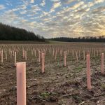 Tubex Launches Biodegradable Nature Easysleeve