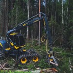 Black Bruin-The feeling of pure strength