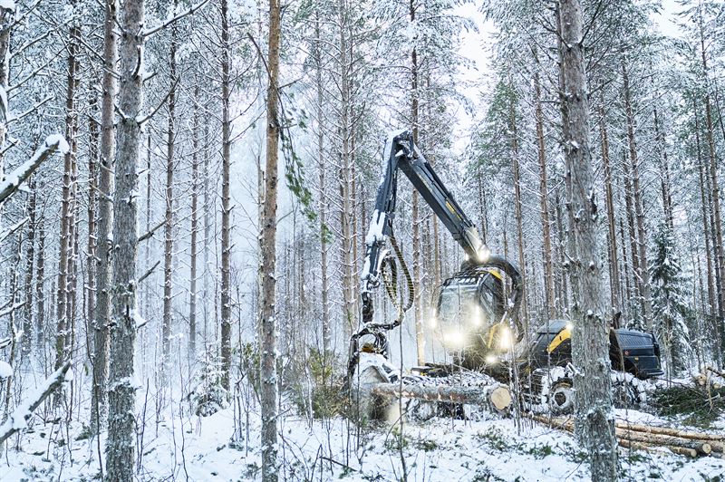 Ponsse's Financial Statement