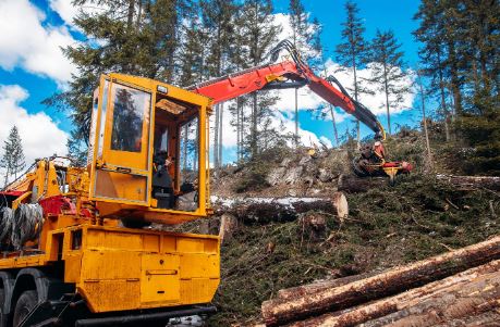Canada's Forest Sector
