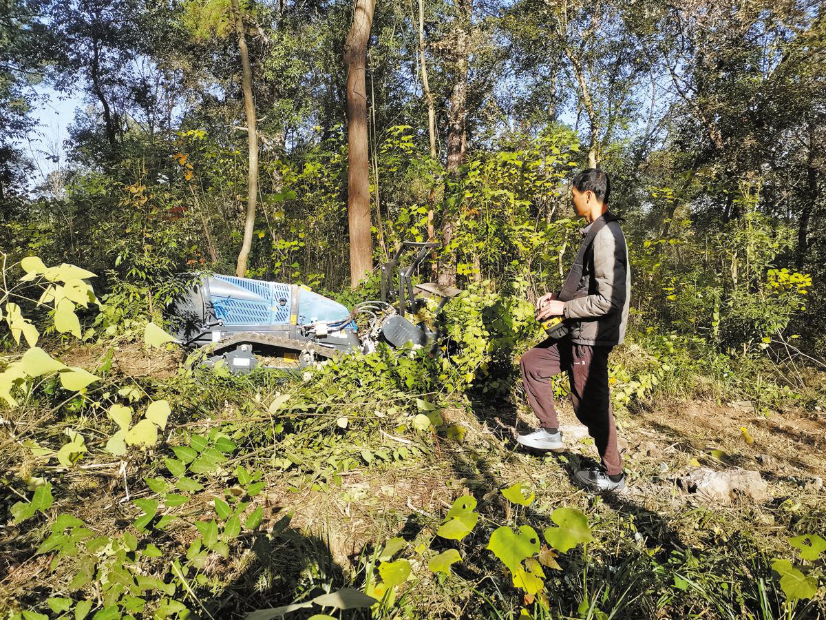 Fire prevention robots