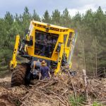 Plantma Forestry-A Growing Company