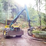 German round timber prices are skyrocketing