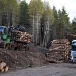 Another challenging chapter looms for those on the Front Line of Forestry.