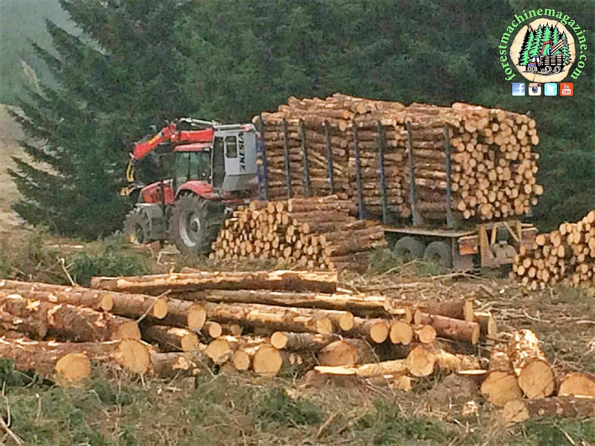 Timber markets