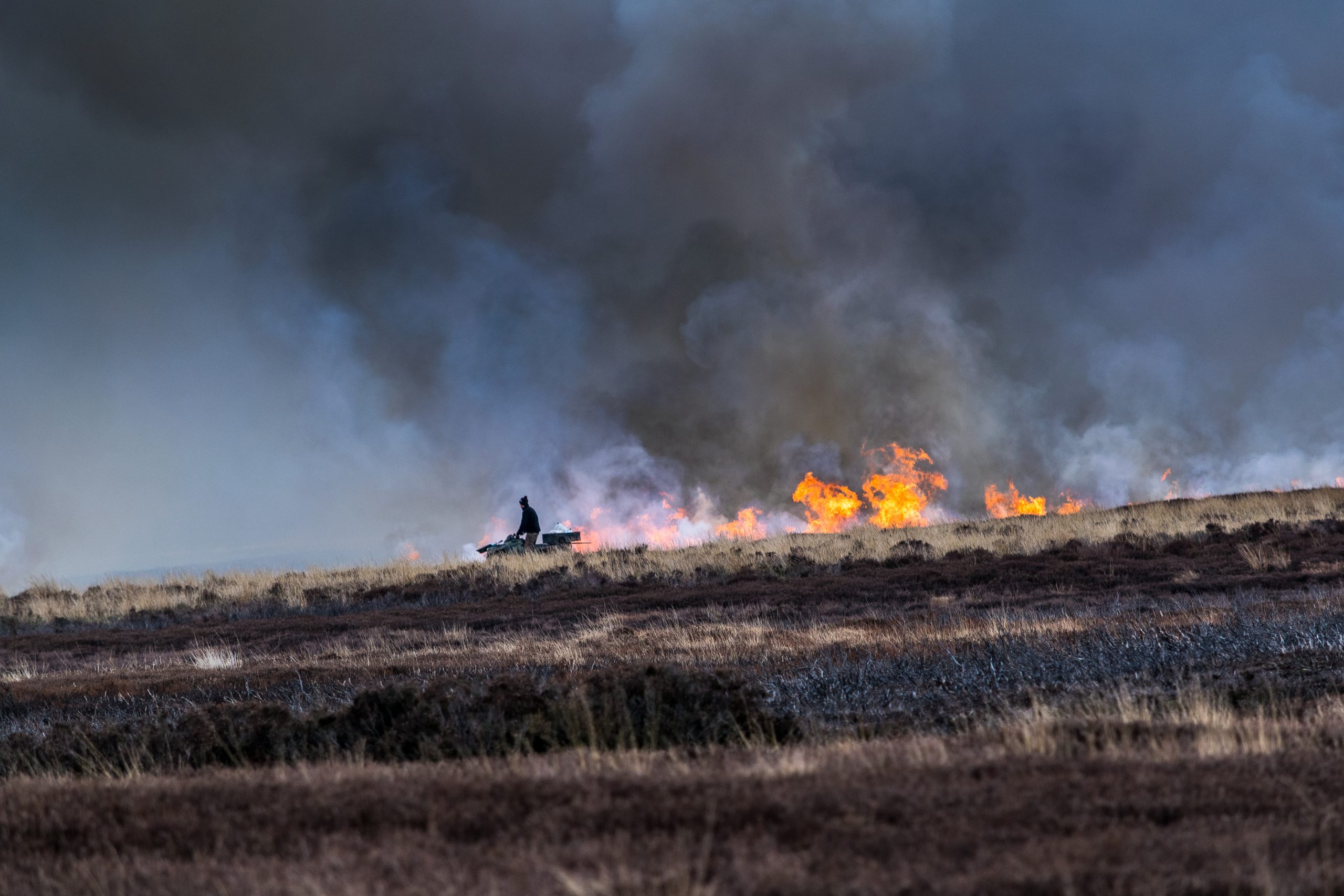 The growing threat of wildfires