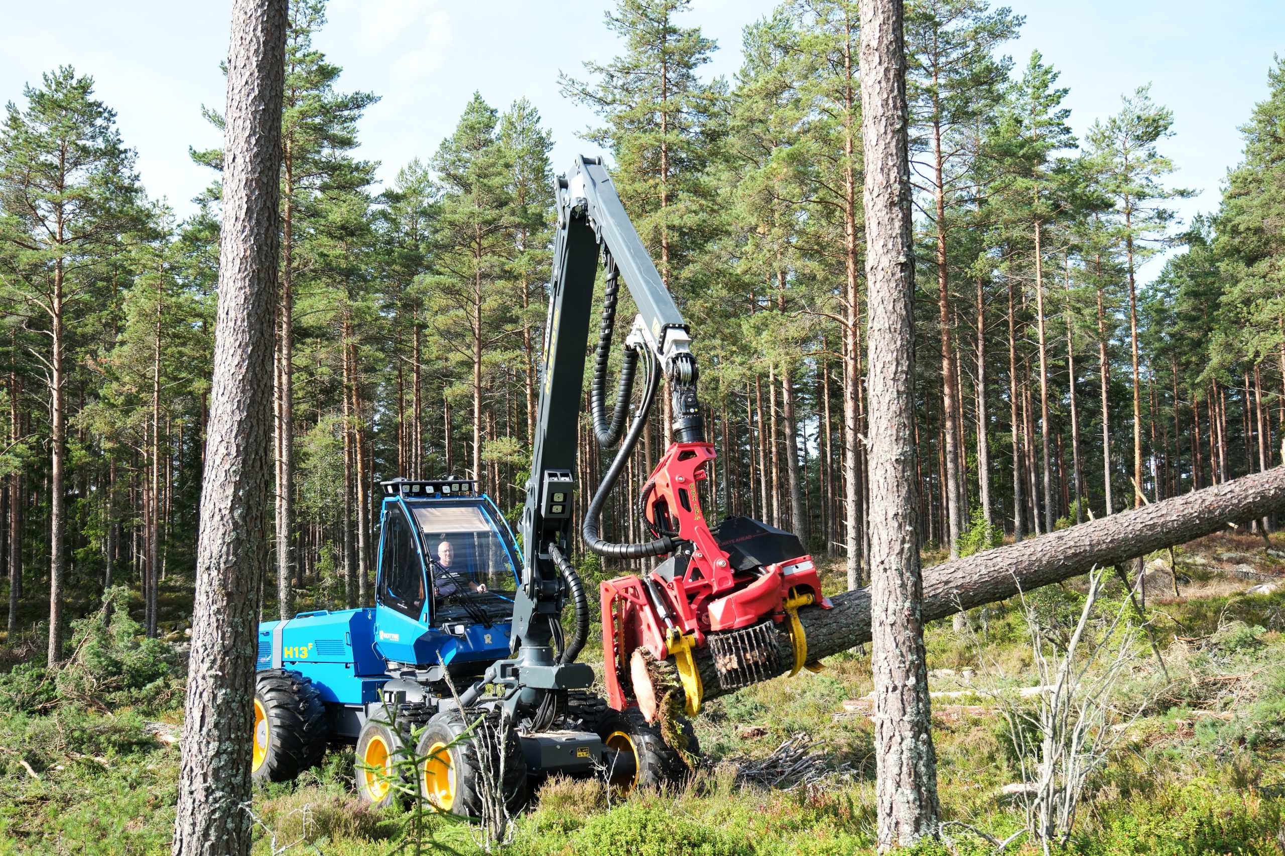 Rottne H13F