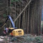 Why Harvester Operator Training is Vital