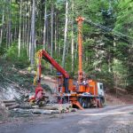 Austrian Timber Demand is Declining