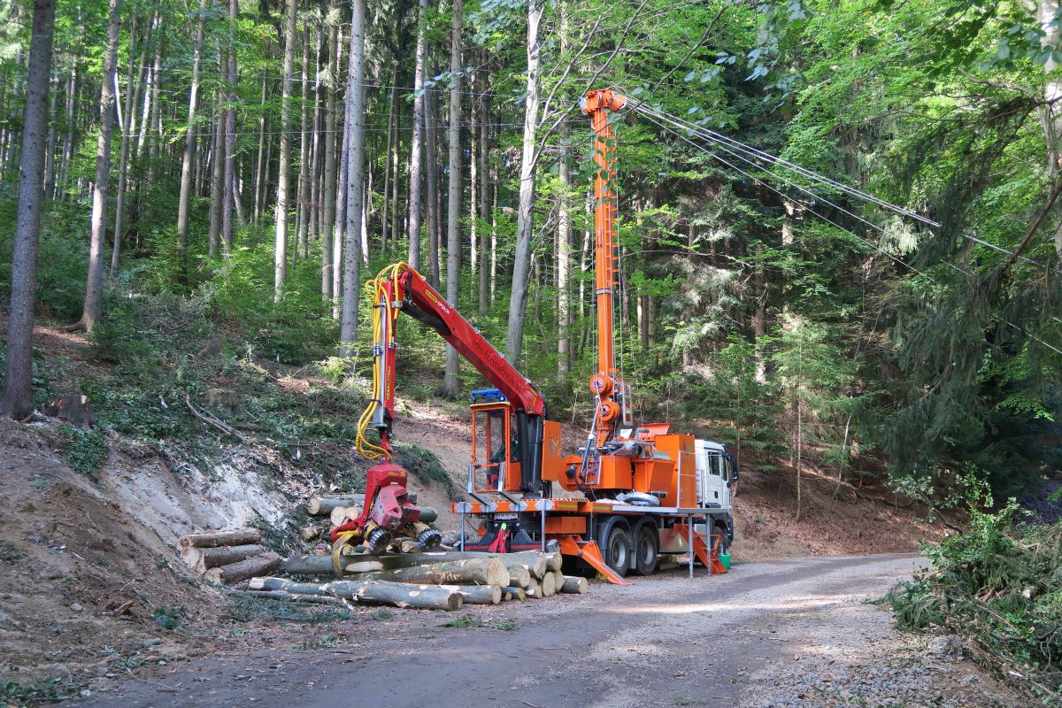 Austrian Timber