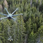 AirForestry harvests it’s first tree with a Drone