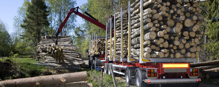 Swedish Roundwood