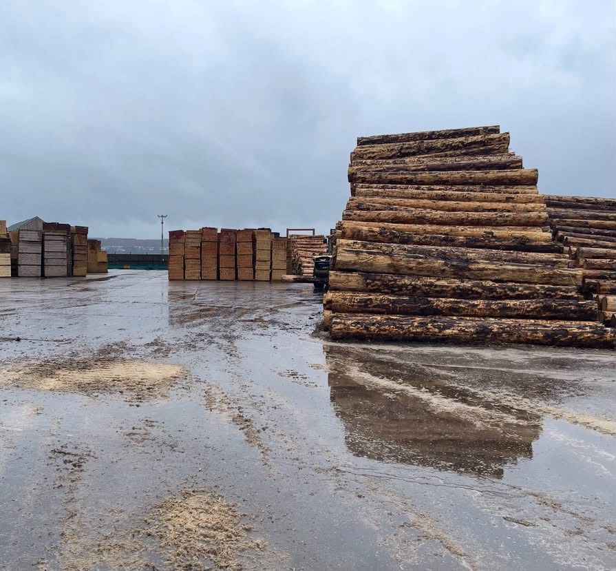 Italian Sawmills