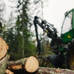 Södra lowers the price of Roundwood in Sweden