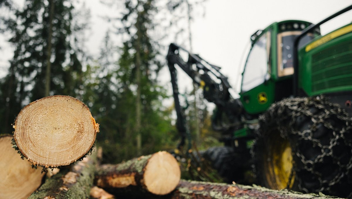 Södra will reduce timber prices