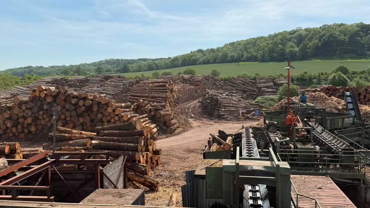 6c029c3f-36de-4d3d-89a5-53366da8e0ec (1) Sawmill news