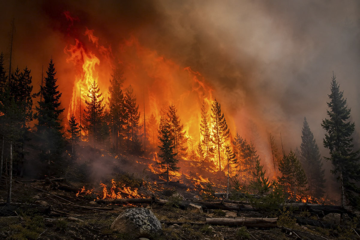 Fire Danger