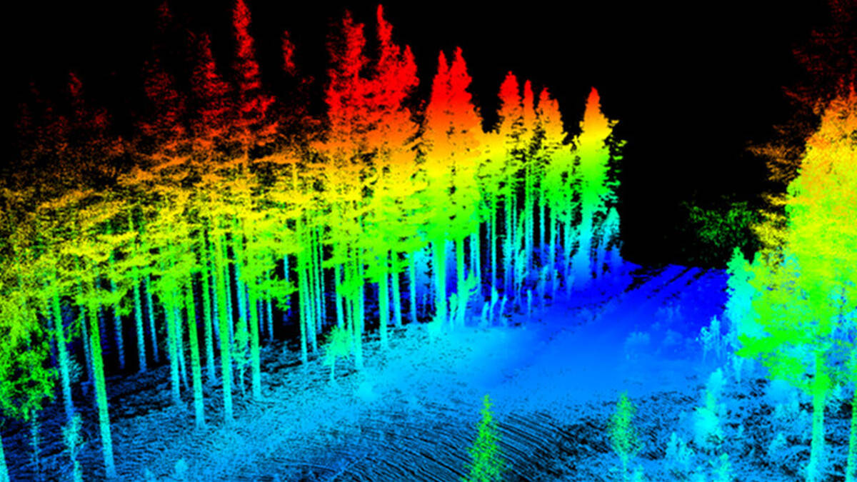 Harvester laser Scanning