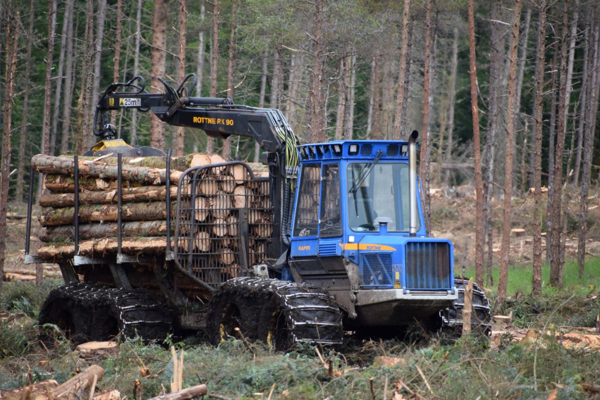 Forest Machine Finance Guide