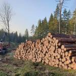 HVO100 – Fossil-free Forestry Operations
