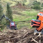 How to Tender Woodland Contracts