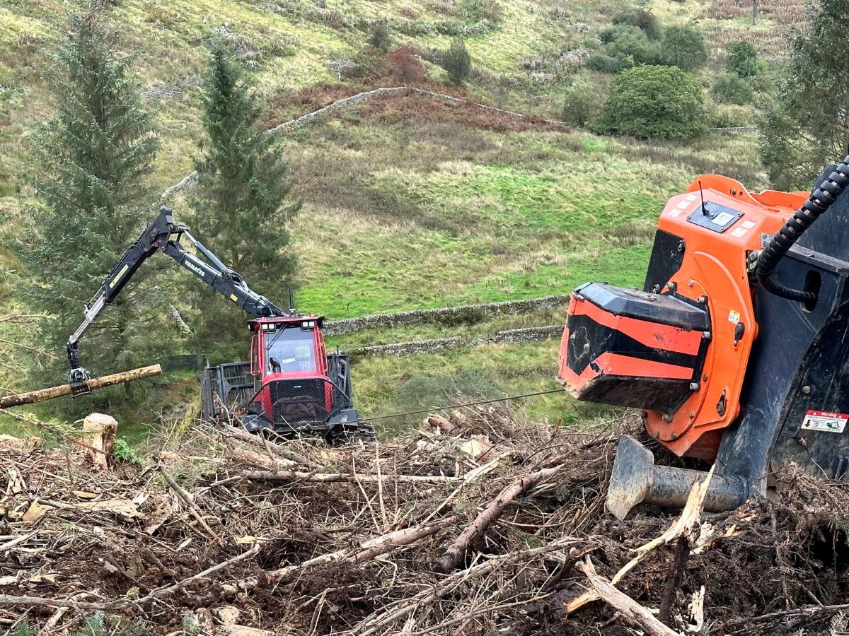 Tender Woodland Contracts