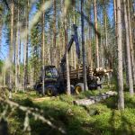 New Ponsse Scorpion and Wisent Dedicated For Thinning