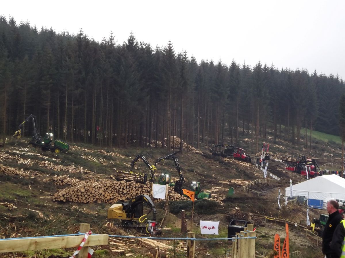 Timber Industry