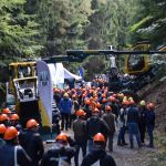 The First UK Forestry Workforce Census in 20 years