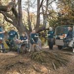 STIHL ALLPRO battery system at the University of Oxford