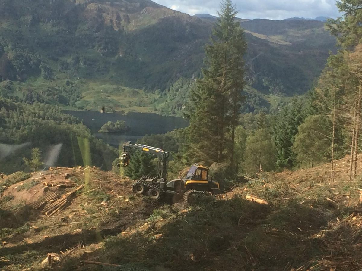 31cb197e-249a-4f9b-9c7b-2db247305d11 Forestry